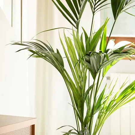 公寓 La Corticella Luxury Suite, With Terrace 卢卡