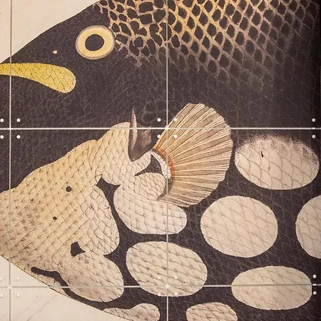 公寓 La Corticella Luxury Suite, With Terrace 卢卡